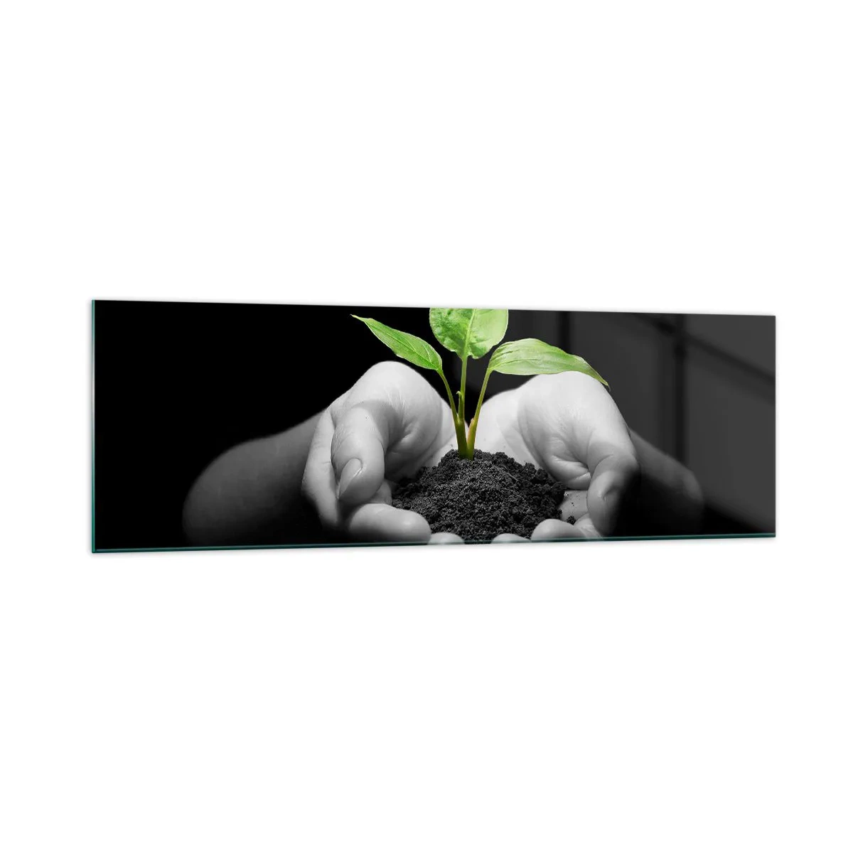 Glasbild - Bild auf glas - Hände halten eine grüne Pflanze auf schwarzem Hintergrund - 160x50cm - Ich liebe die Natur, ich beschütze sie - Moderne Wanddekoration für Wohnzimmer und Schlafzimmer ARTTOR