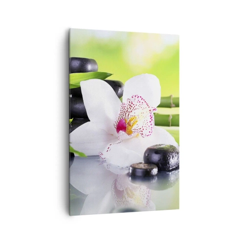Bild auf Leinwand - Leinwandbild - Orchidee, Steine und Bambus in einer harmonischen Spa-Komposition - 80x120cm - Kühle Frische - Moderne Wanddekoration für Wohnzimmer und Schlafzimmer ARTTOR