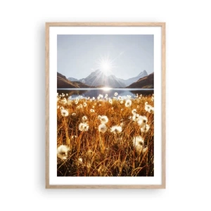 Poster in einem Rahmen aus heller Eiche - Steinhärte, Grasweichheit - 50x70 cm