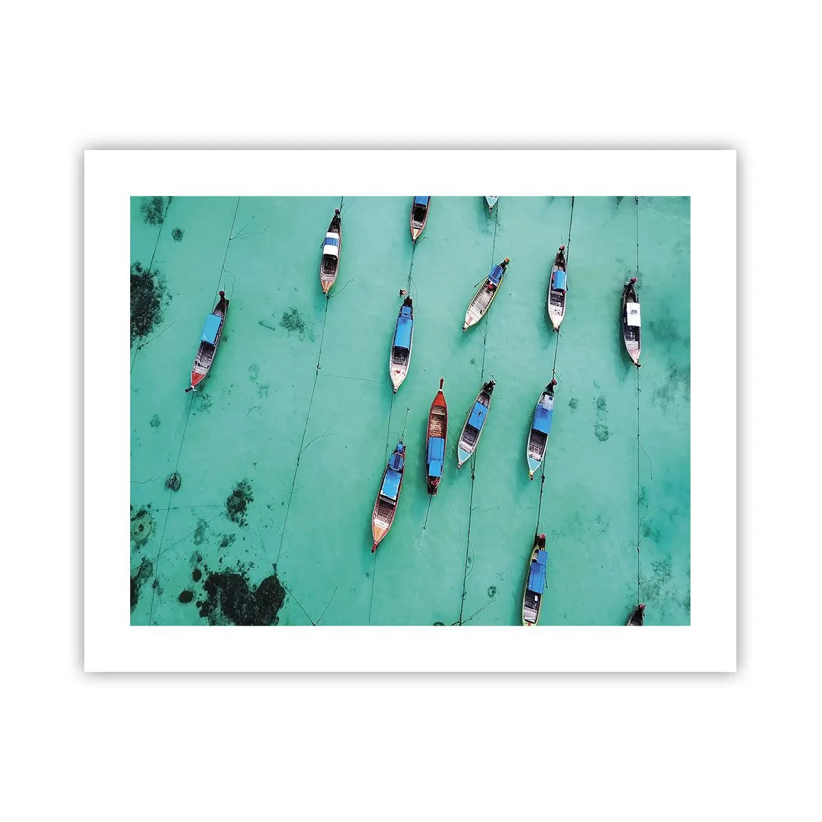 Poster - In freudiger Erwartung - 50x40 cm
