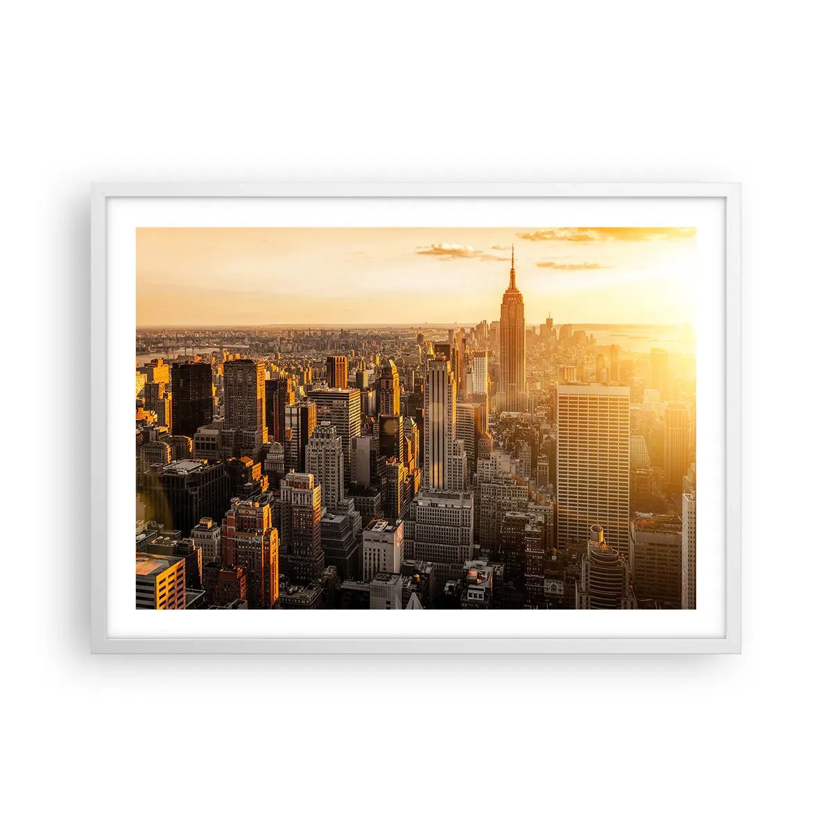 Poster in einem weißen Rahmen - In der Sonne wachsen - 70x50 cm