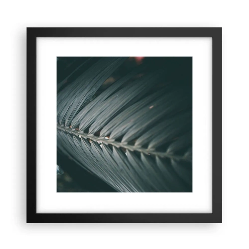 Poster in einem schwarzem Rahmen - Die Präzision der Natur - 30x30 cm