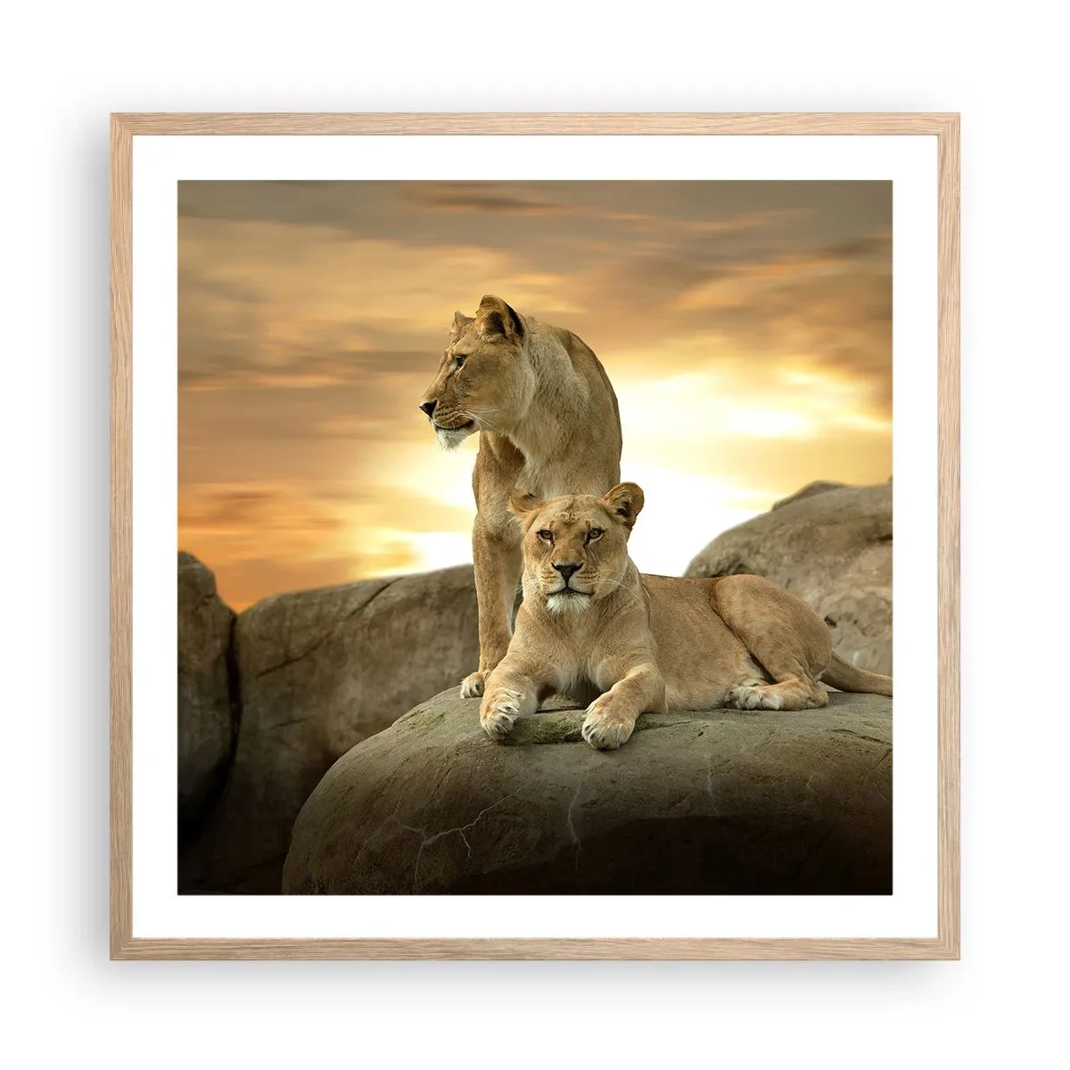 Poster in einem Rahmen aus heller Eiche - Königliche Majestät - 60x60 cm