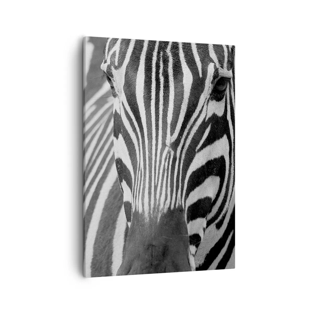 Bild auf Leinwand - Leinwandbild - Eine Schwarz-Weiß-Nahaufnahme eines Zebras mit seinen charakteristischen Streifen. - 50x70cm - Die Welt ist schwarz und weiß - Moderne Wanddekoration für Wohnzimmer und Schlafzimmer ARTTOR