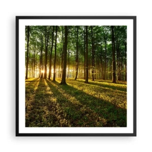 Poster in einem schwarzem Rahmen - Alle Frühlingsfotografie - 60x60 cm