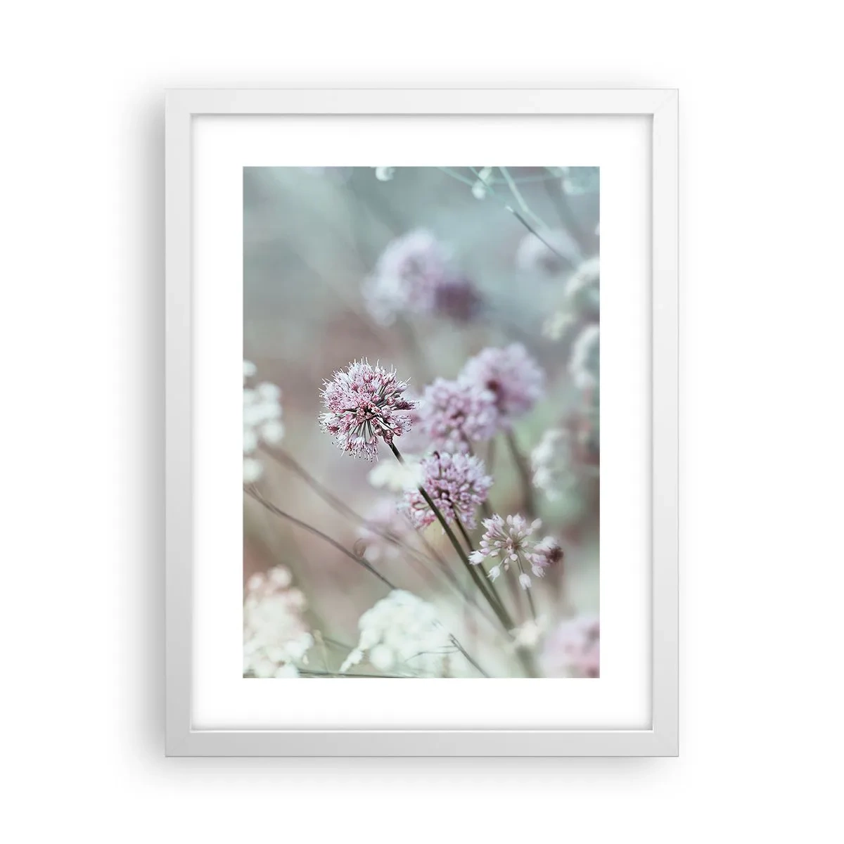 Poster in einem weißen Rahmen - Süße filigrane Kräuter - 30x40 cm