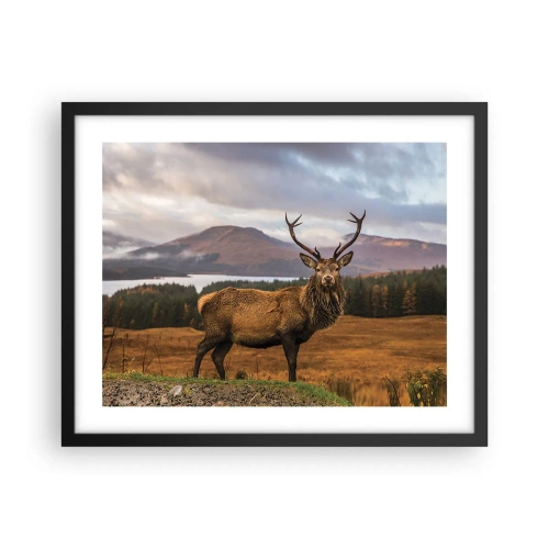 Poster in einem schwarzem Rahmen - Die Majestät der Natur - 50x40 cm