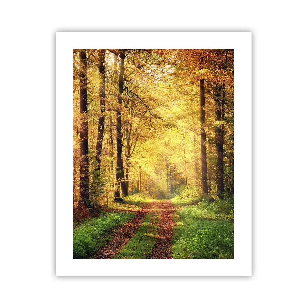 Poster - Waldgoldene Stille - 40x50 cm