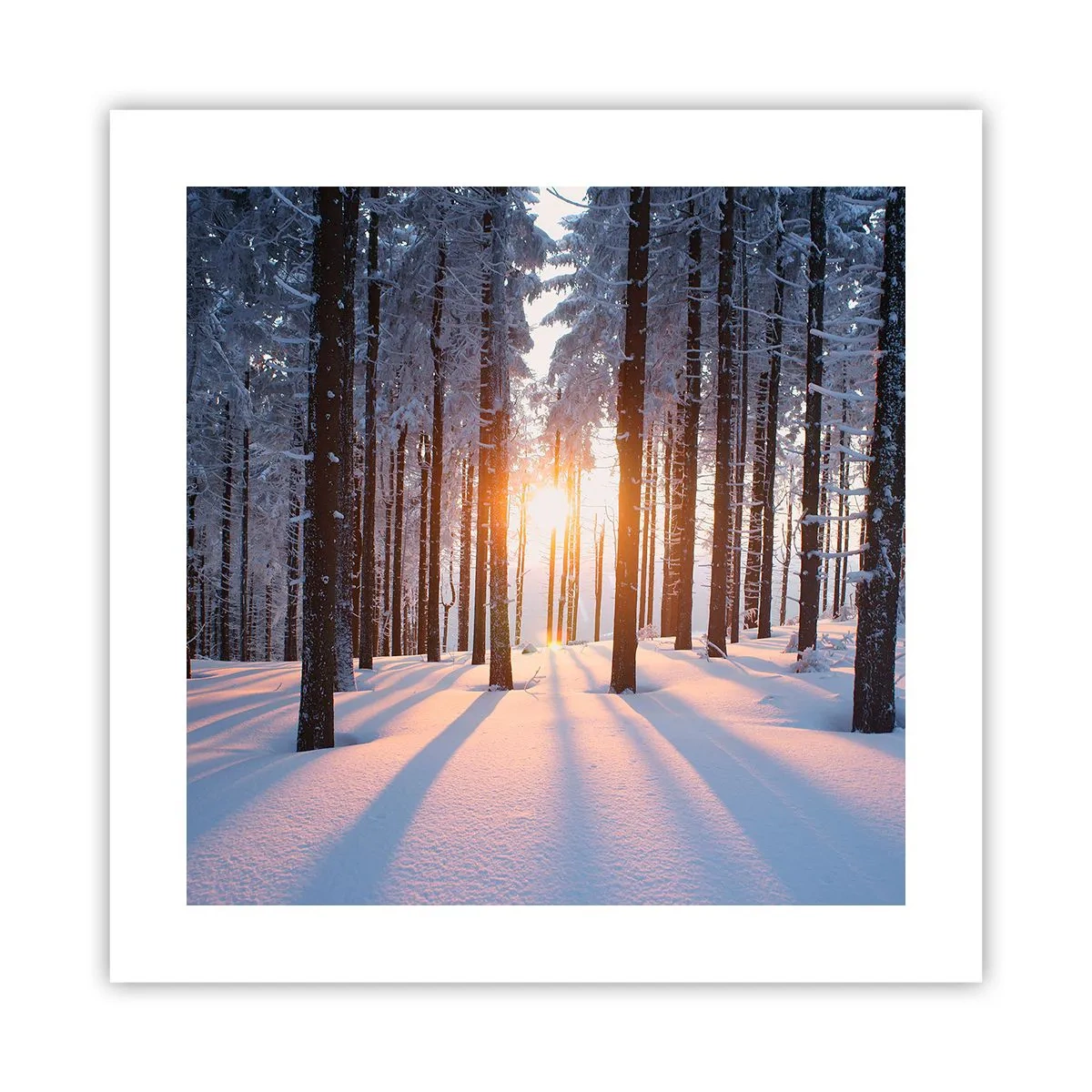 Poster - Ganz klar schwarz auf weiß - 40x40 cm