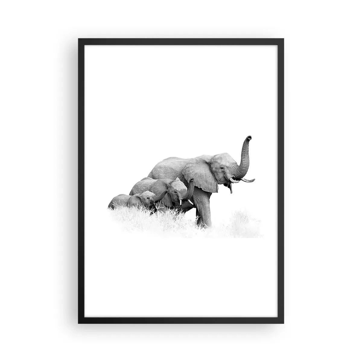 Poster in einem schwarzem Rahmen - Ein Schwarz-Weiß-Porträt einer Elefantenfamilie in der Savanne. - 50x70cm - Eins zwei drei - Moderne Wanddekoration für Wohnzimmer und Schlafzimmer ARTTOR
