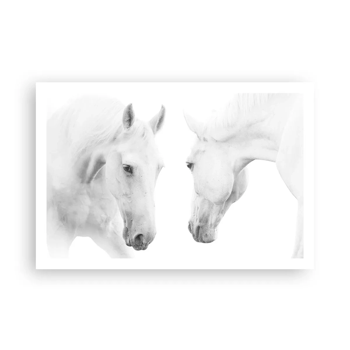 Poster - Ist das Freundschaft...? - 91x61 cm