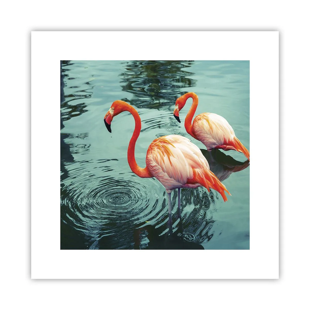 Poster - Wir sind jetzt in Mode - 30x30 cm