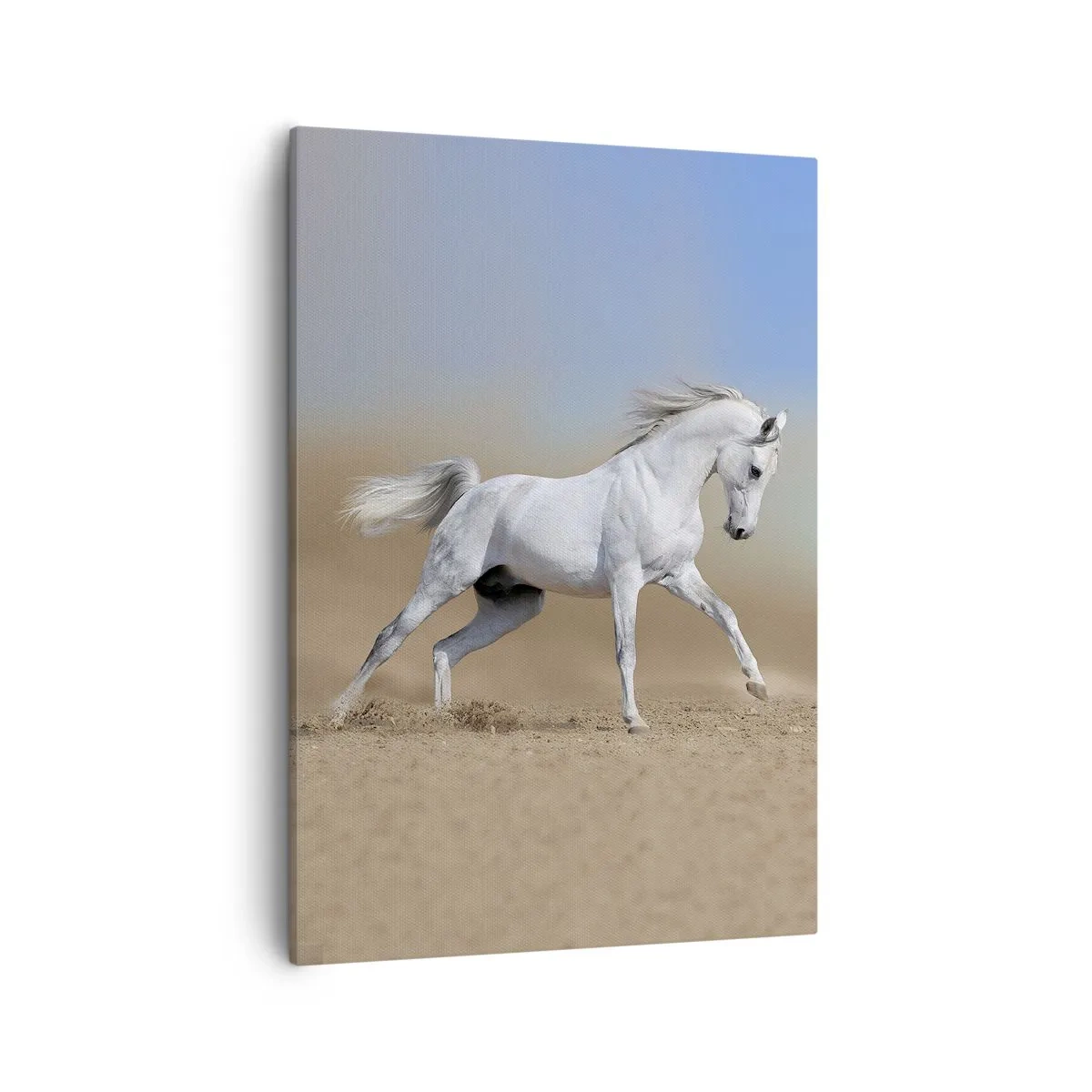 Bild auf Leinwand - Leinwandbild - Ein weißes Pferd galoppiert durch eine Wüstenlandschaft - 50x70cm - Die schönste arabische Sage - Moderne Wanddekoration für Wohnzimmer und Schlafzimmer ARTTOR