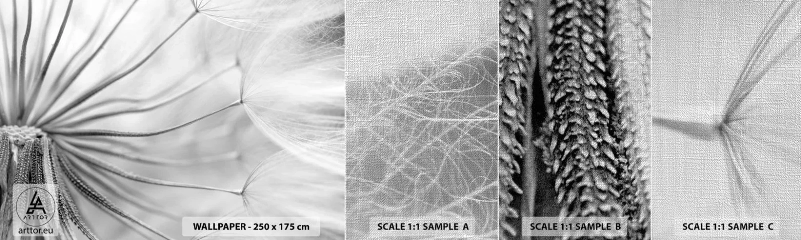 Fototapeten Muster Premium Canvas - Löwenzahn, Drachen - Minimalismus, Empfindlich, Blume - 100x30 cm