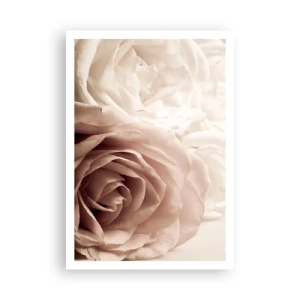 Poster - Im Herzen der Rose - 70x100 cm