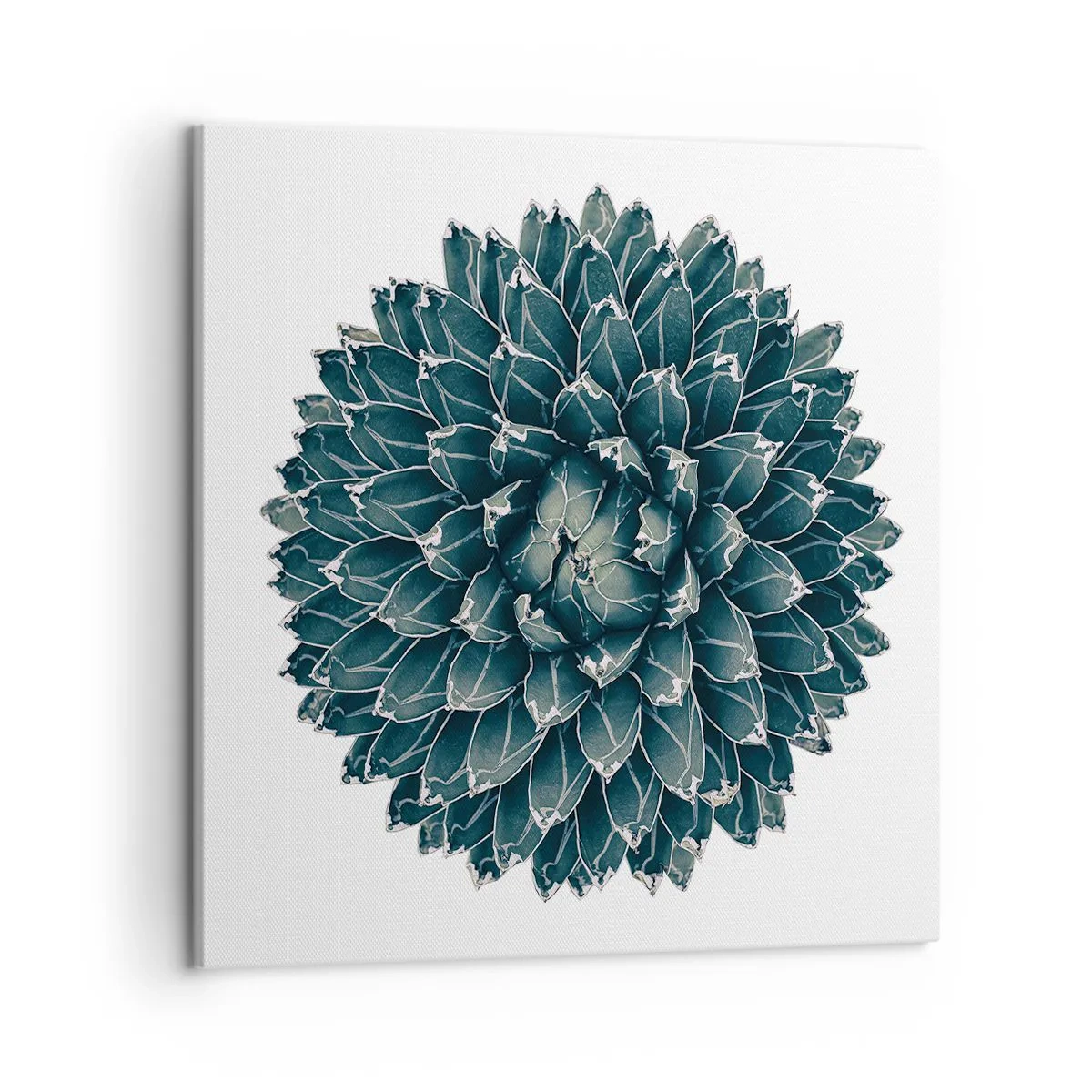 Bild auf Leinwand - Leinwandbild - Stern der Wüste - 50x50 cm