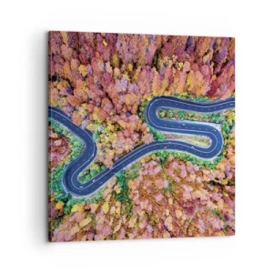Bild auf Leinwand - Leinwandbild - Kurvenreicher Weg durch den Wald - 60x60 cm
