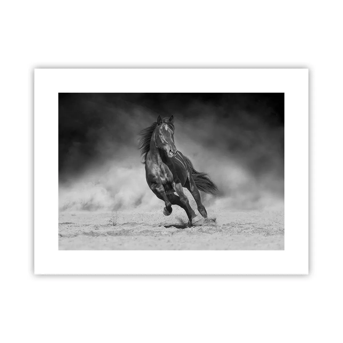 Poster - Würdig des Emirs selbst - 40x30 cm