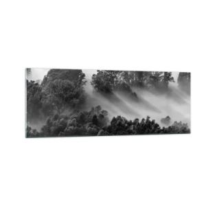 Glasbild - Bild auf glas - Schwarz-weiße Waldlandschaft im Morgennebel - 140x50cm - Aufstehend aus dem Schlaf - Moderne Wanddekoration für Wohnzimmer und Schlafzimmer ARTTOR