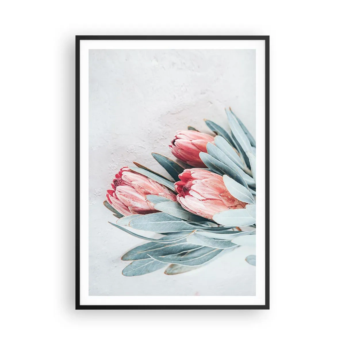 Poster in einem schwarzem Rahmen - Schämen sich für ihre eigene Schönheit - 70x100 cm