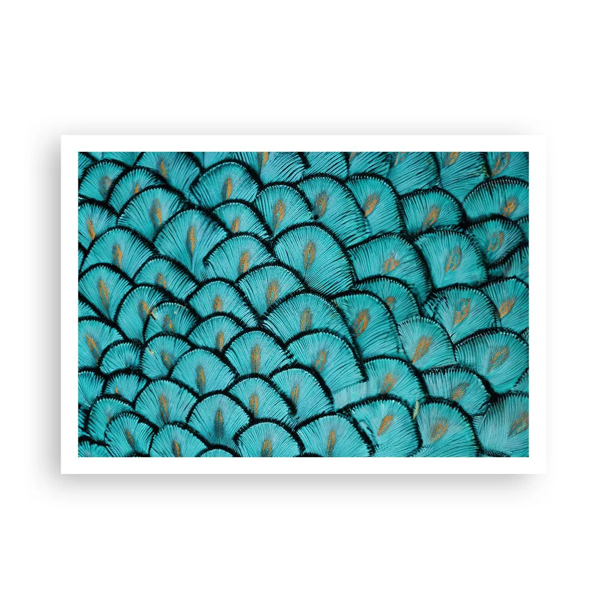 Poster - Ein Muster, das türkisfarbenen Schuppen mit goldenen Akzenten ähnelt - 100x70cm - Große Federgala - Moderne Wanddekoration für Wohnzimmer und Schlafzimmer ARTTOR