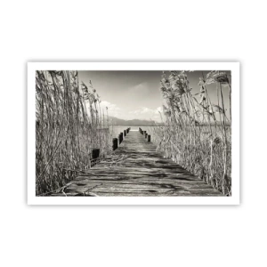 Poster - In der Stille des Grases - 91x61 cm