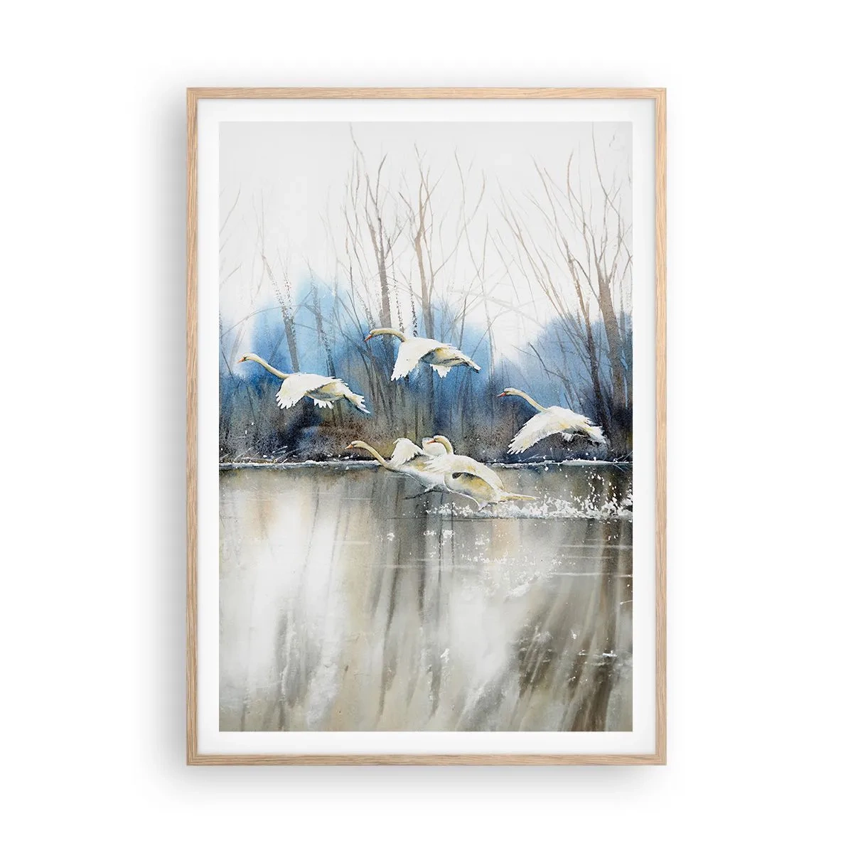 Poster in einem Rahmen aus heller Eiche - Wie im Märchen von den wilden Schwänen - 70x100 cm