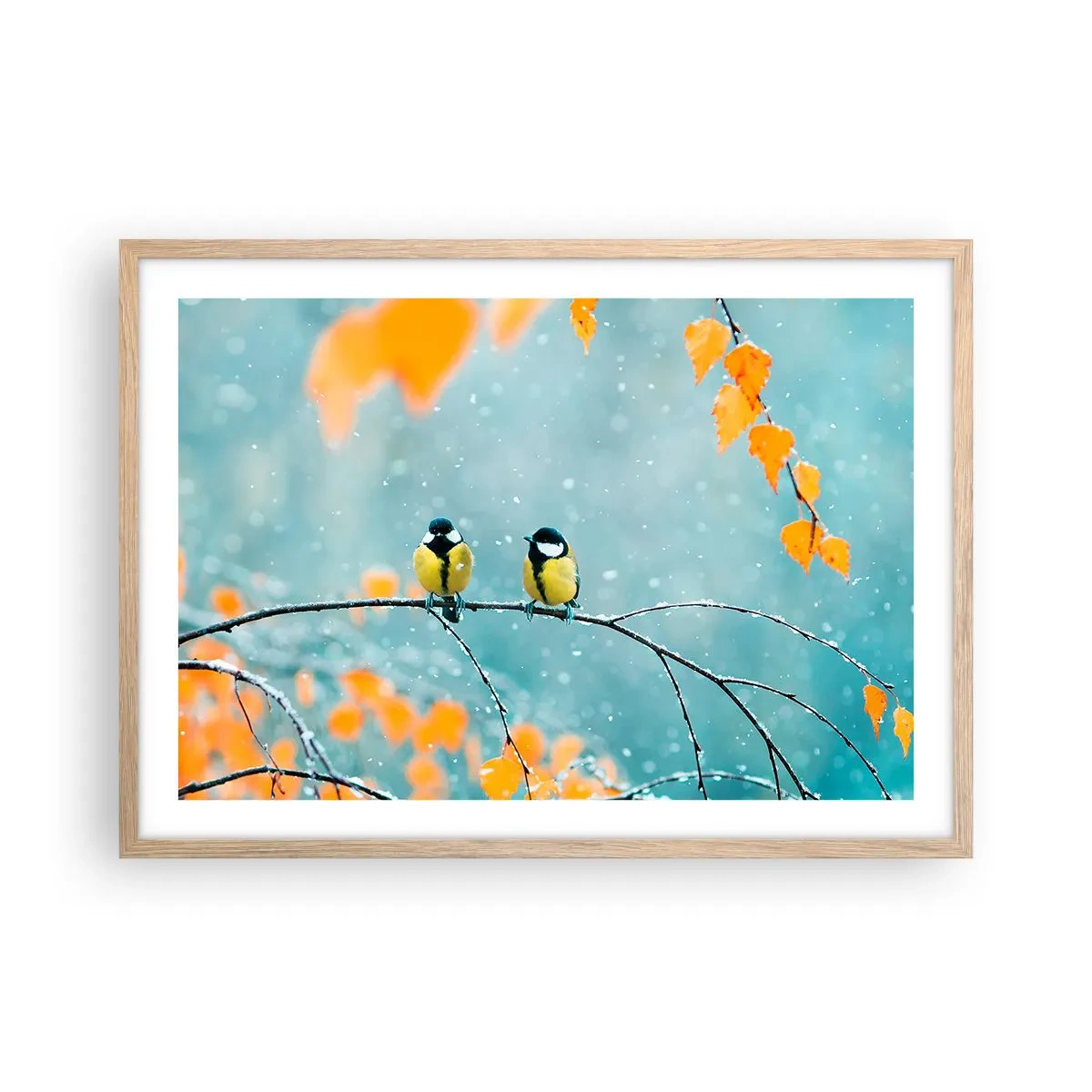 Poster in einem Rahmen aus heller Eiche - Vogelklatsch - 70x50 cm
