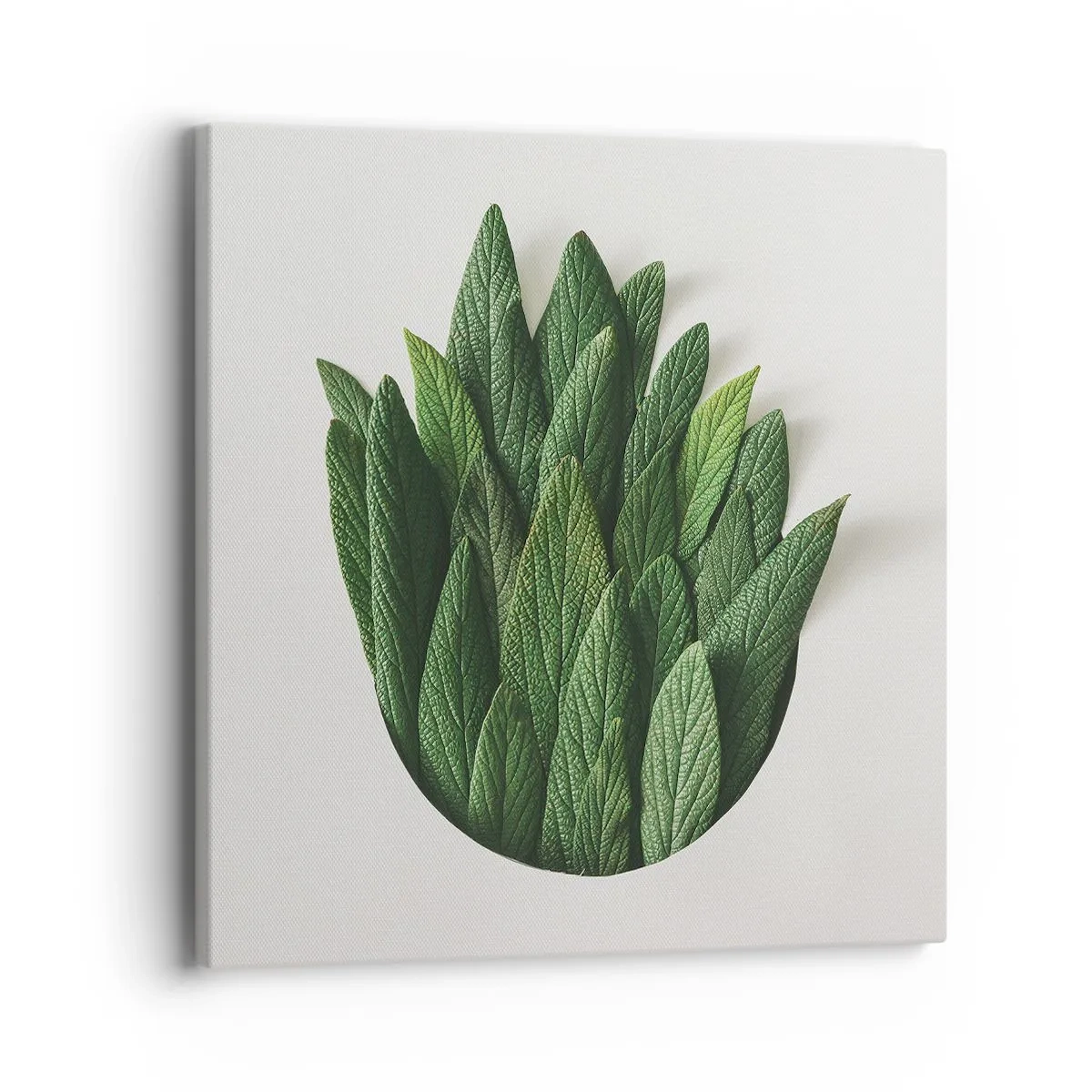 Bild auf Leinwand - Leinwandbild - Ungebremste Neugier - 40x40 cm