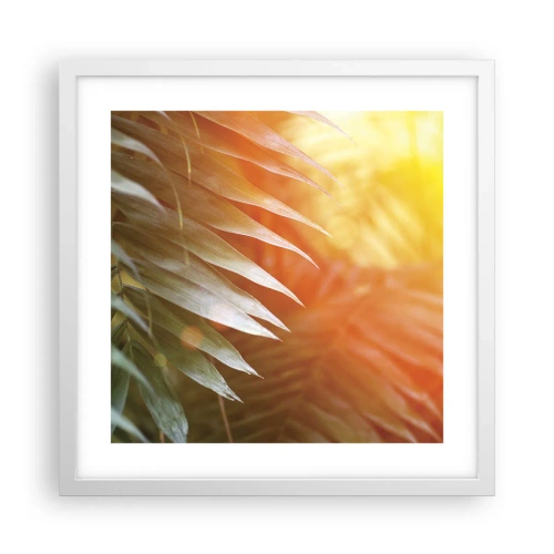 Poster in einem weißen Rahmen - Morgen im Dschungel - 40x40 cm