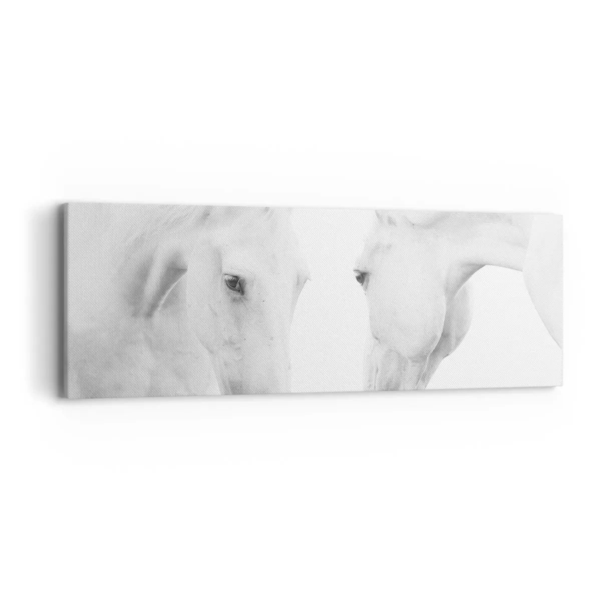 Bild auf Leinwand - Leinwandbild - Ist das Freundschaft...? - 90x30 cm