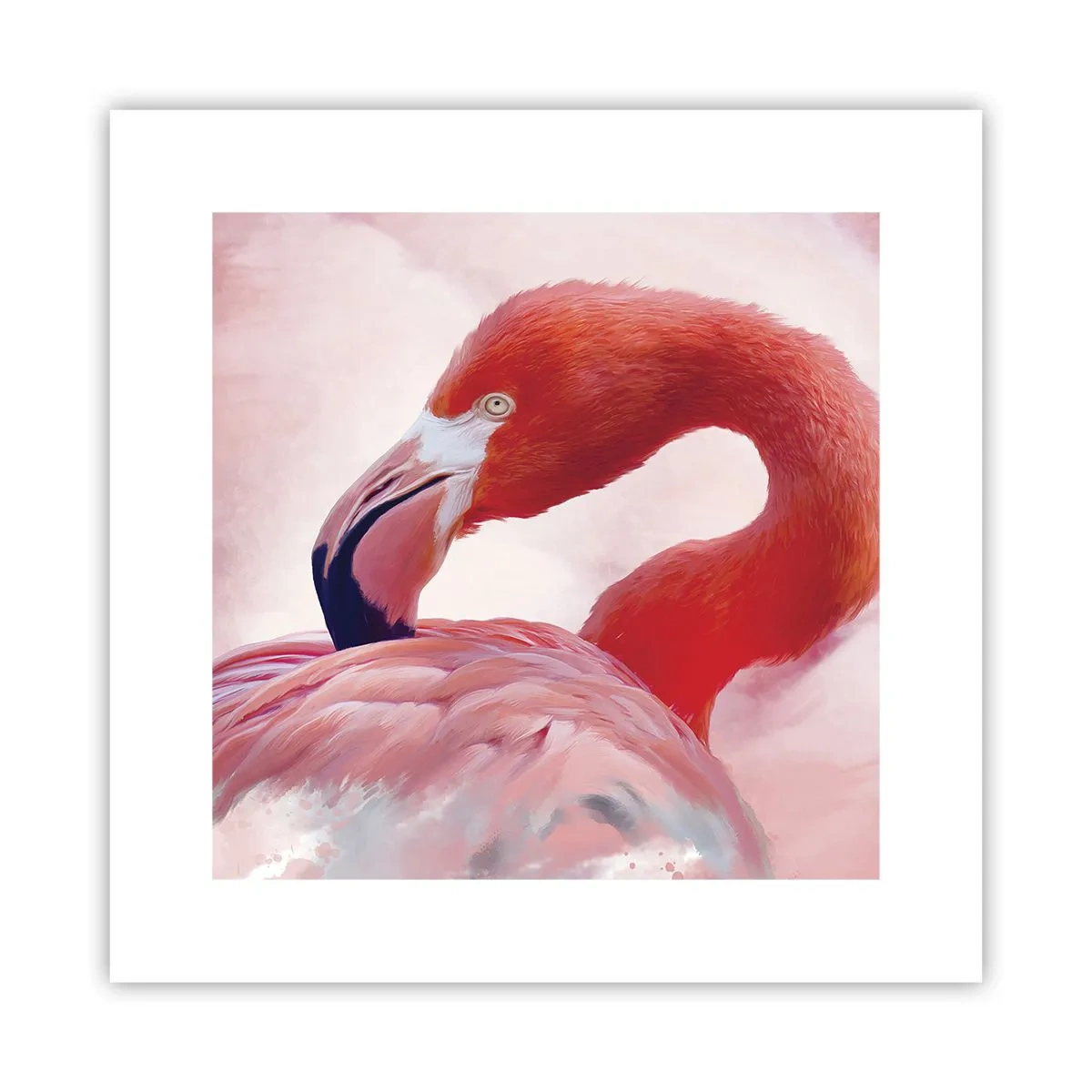Poster - Vogel Schönheit - 30x30 cm