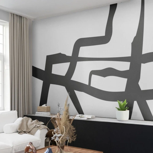 Fototapete Premium Canvas - Schwarz-Weiß-Design - Linie, Schwarz und weiß, Abstraktionismus - 300x210 cm