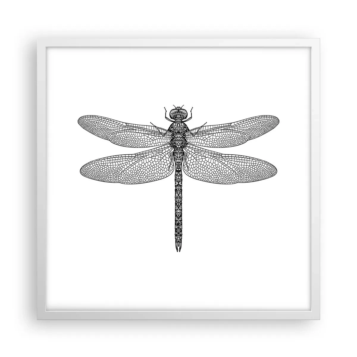 Poster in einem weißen Rahmen - Präzision der Natur - 50x50 cm