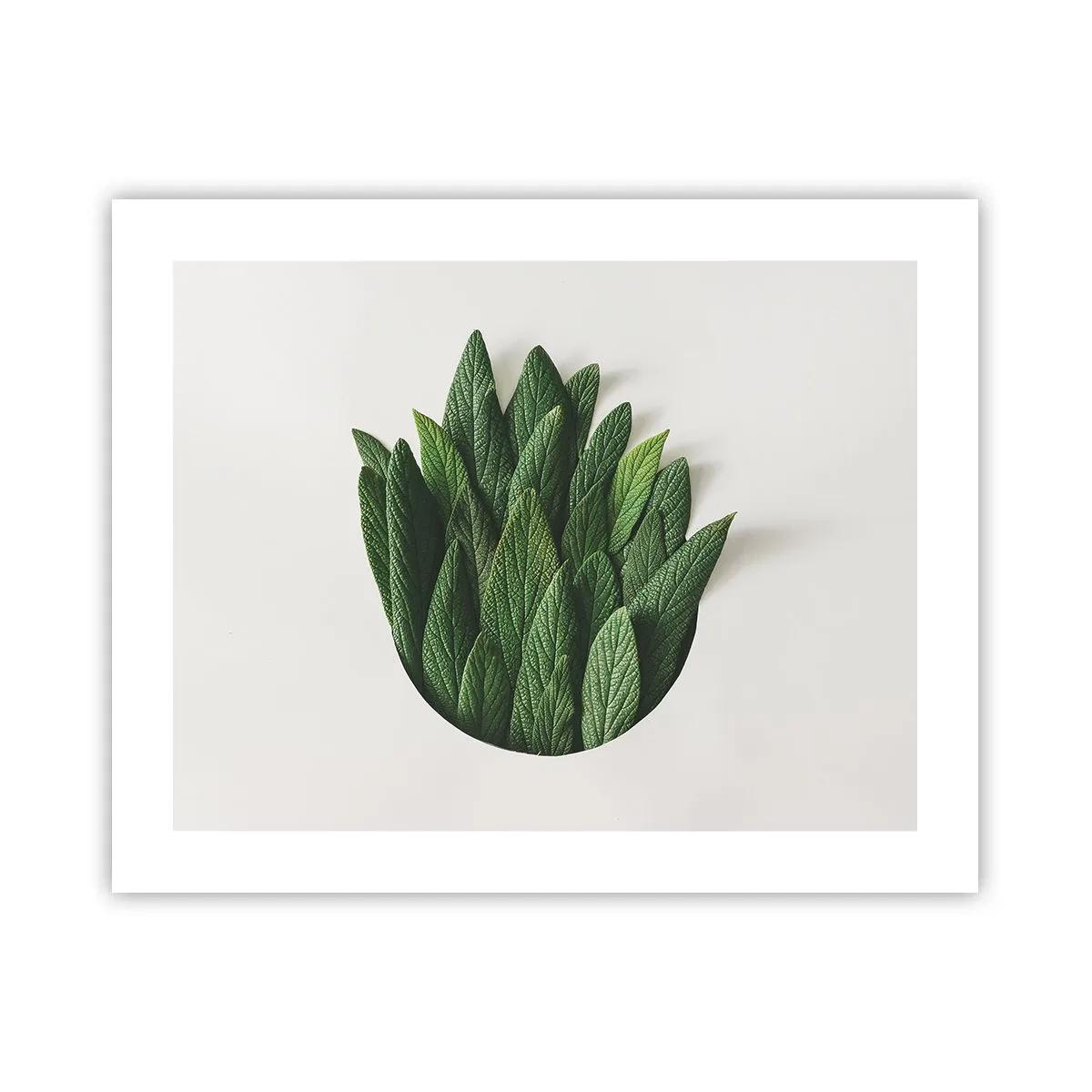 Poster - Ungebremste Neugier - 50x40 cm