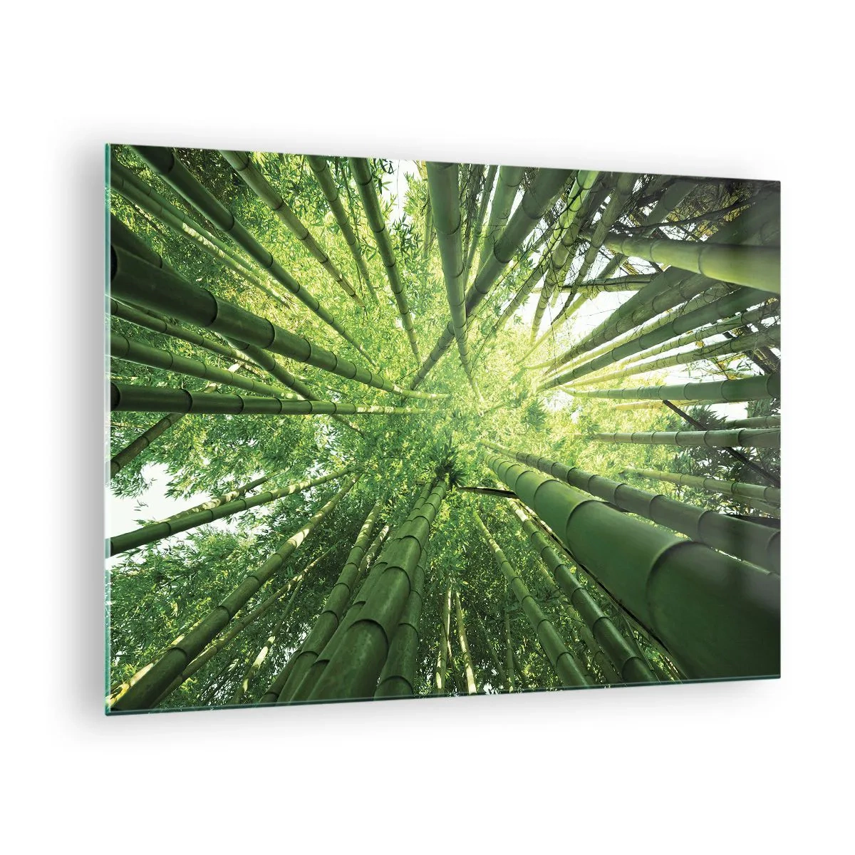 Glasbild - Bild auf glas - Perspektivische Ansicht des Bambuswaldes von oben - 70x50cm - In einem Bambushain - Moderne Wanddekoration für Wohnzimmer und Schlafzimmer ARTTOR