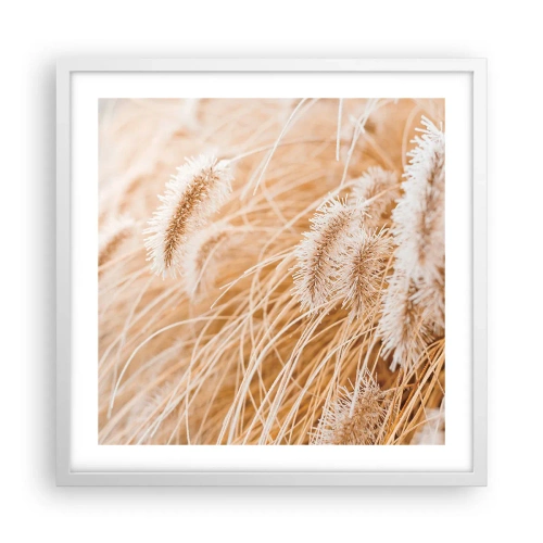 Poster in einem weißen Rahmen - Das goldene Rauschen des Grases - 50x50 cm