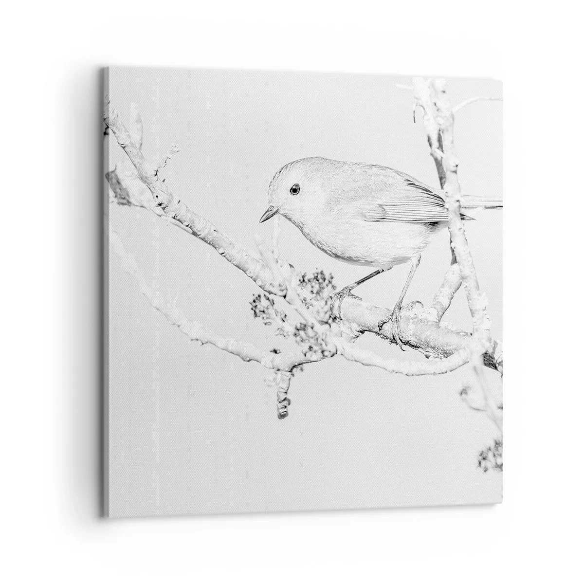 Bild auf Leinwand - Leinwandbild - Wintermorgen - 60x60 cm