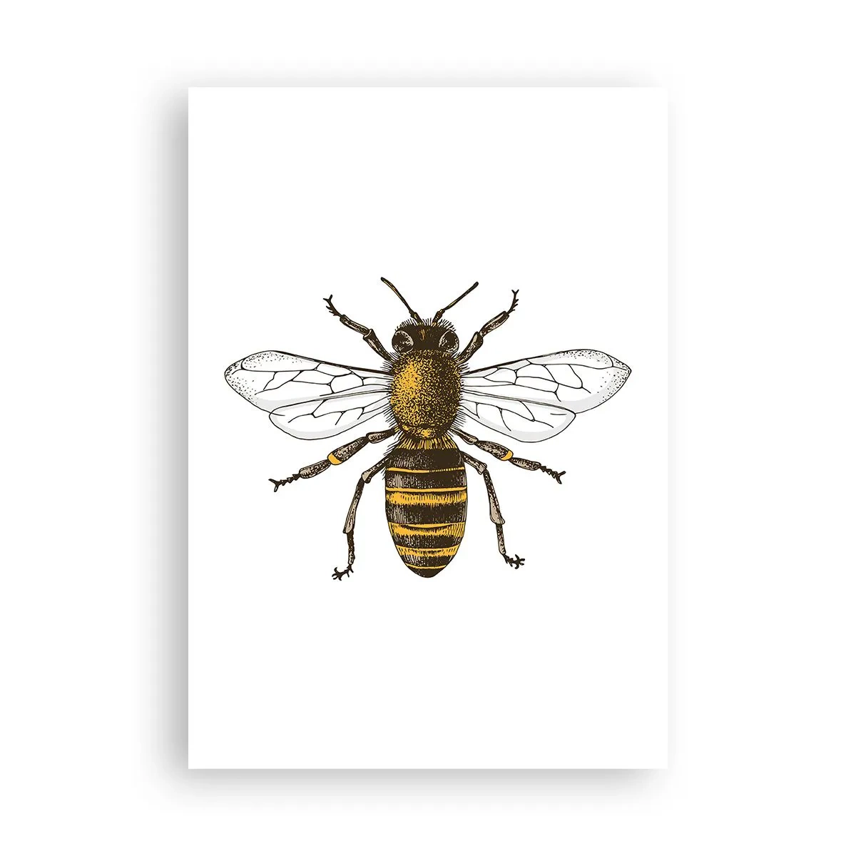 Poster - Schön und gut - 70x100 cm