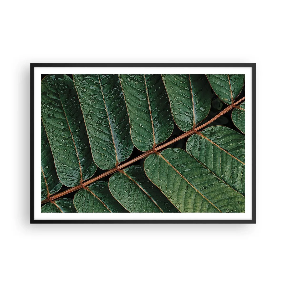 Poster in einem schwarzem Rahmen - Makroaufnahme von grünen Blättern mit Tautropfen - 100x70cm - Im grünen Rhythmus - Moderne Wanddekoration für Wohnzimmer und Schlafzimmer ARTTOR