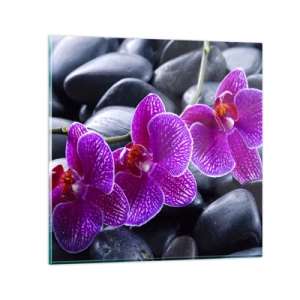 Glasbild - Bild auf glas - Die Steine ​​glühten vor Freude - 50x50 cm