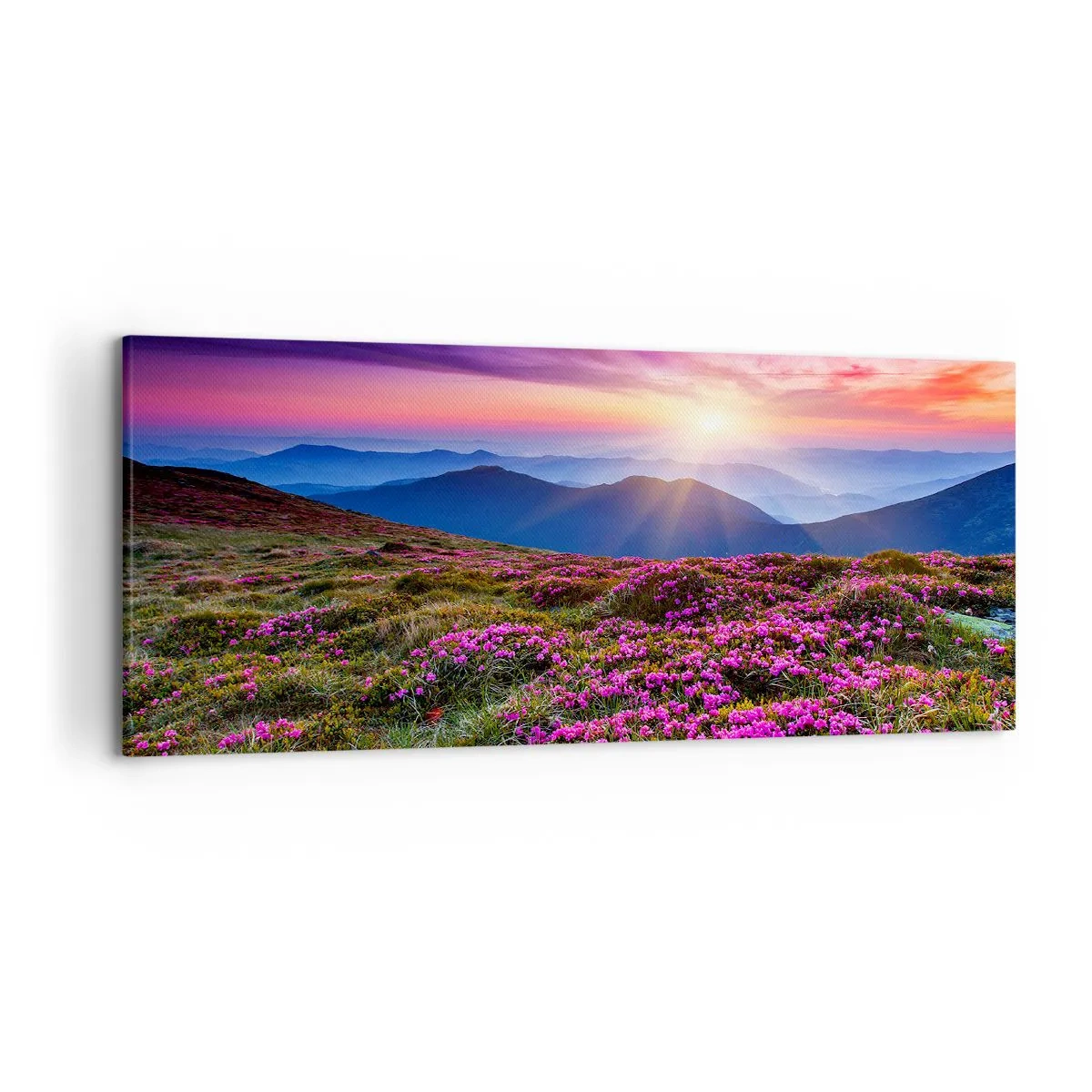 Bild auf Leinwand - Leinwandbild - Bergwiese mit Blumen bei Sonnenuntergang - 120x50cm - Kräuter dufteten nach frischen Trauben von den Feldern - Moderne Wanddekoration für Wohnzimmer und Schlafzimmer ARTTOR