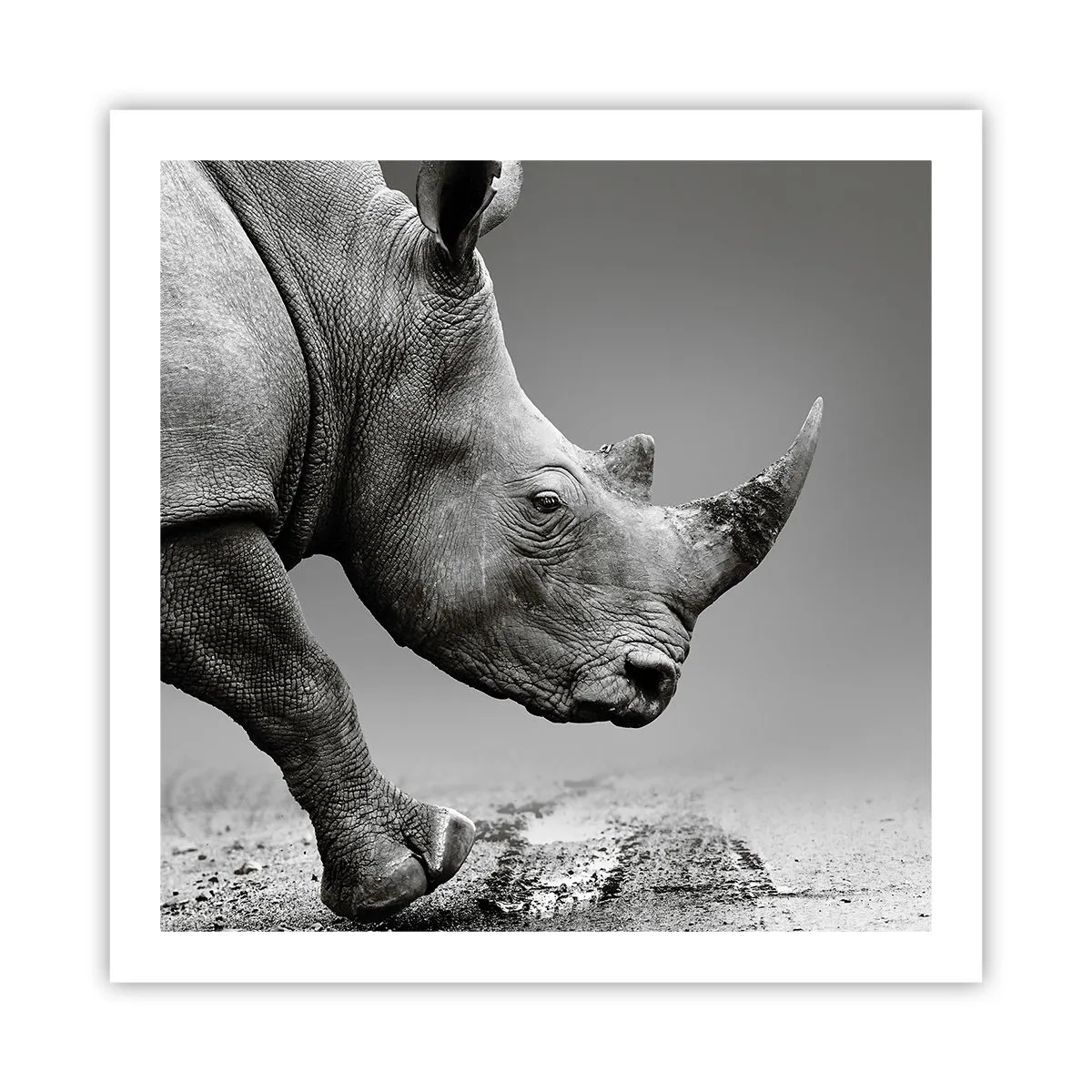 Poster - Unaufhaltsame Stärke - 60x60 cm