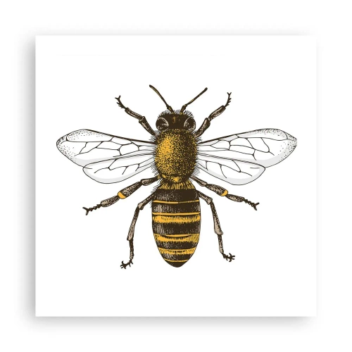 Poster - Schön und gut - 50x50 cm