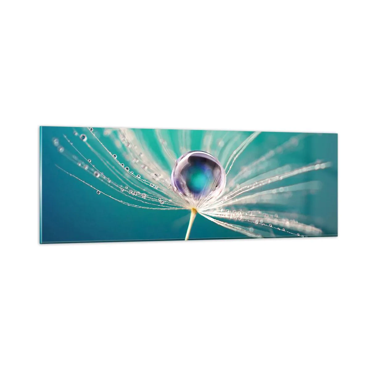 Glasbild - Bild auf glas - Mystischer Moment - 90x30 cm