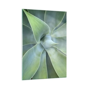 Glasbild - Bild auf glas - Makrofotografie einer grünen Pflanze mit spiralförmigen Blättern - 50x70cm - Geburt des Grüns - Moderne Wanddekoration für Wohnzimmer und Schlafzimmer ARTTOR