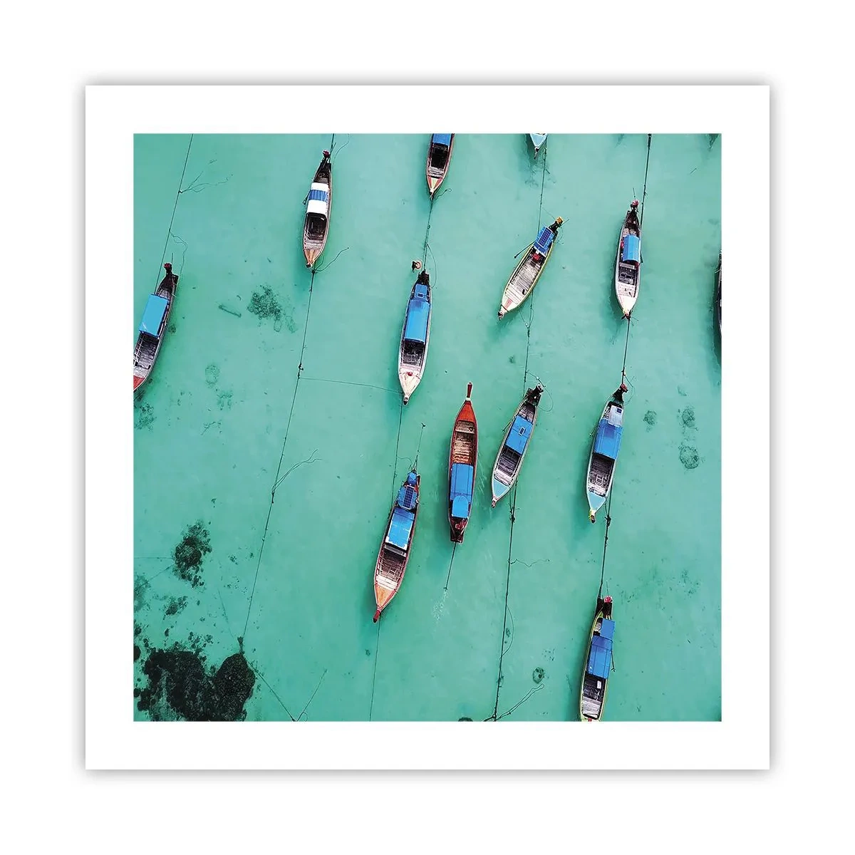 Poster - In freudiger Erwartung - 50x50 cm