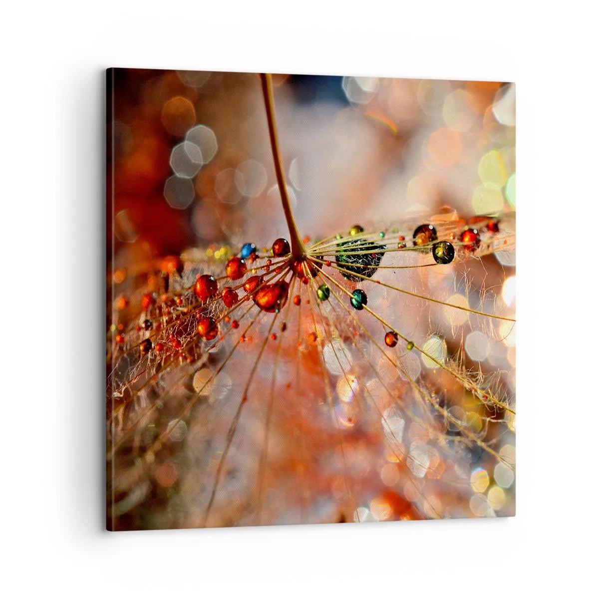 Bild auf Leinwand - Leinwandbild - Auf einem Spinnenfaden aufgefädelt - 60x60 cm