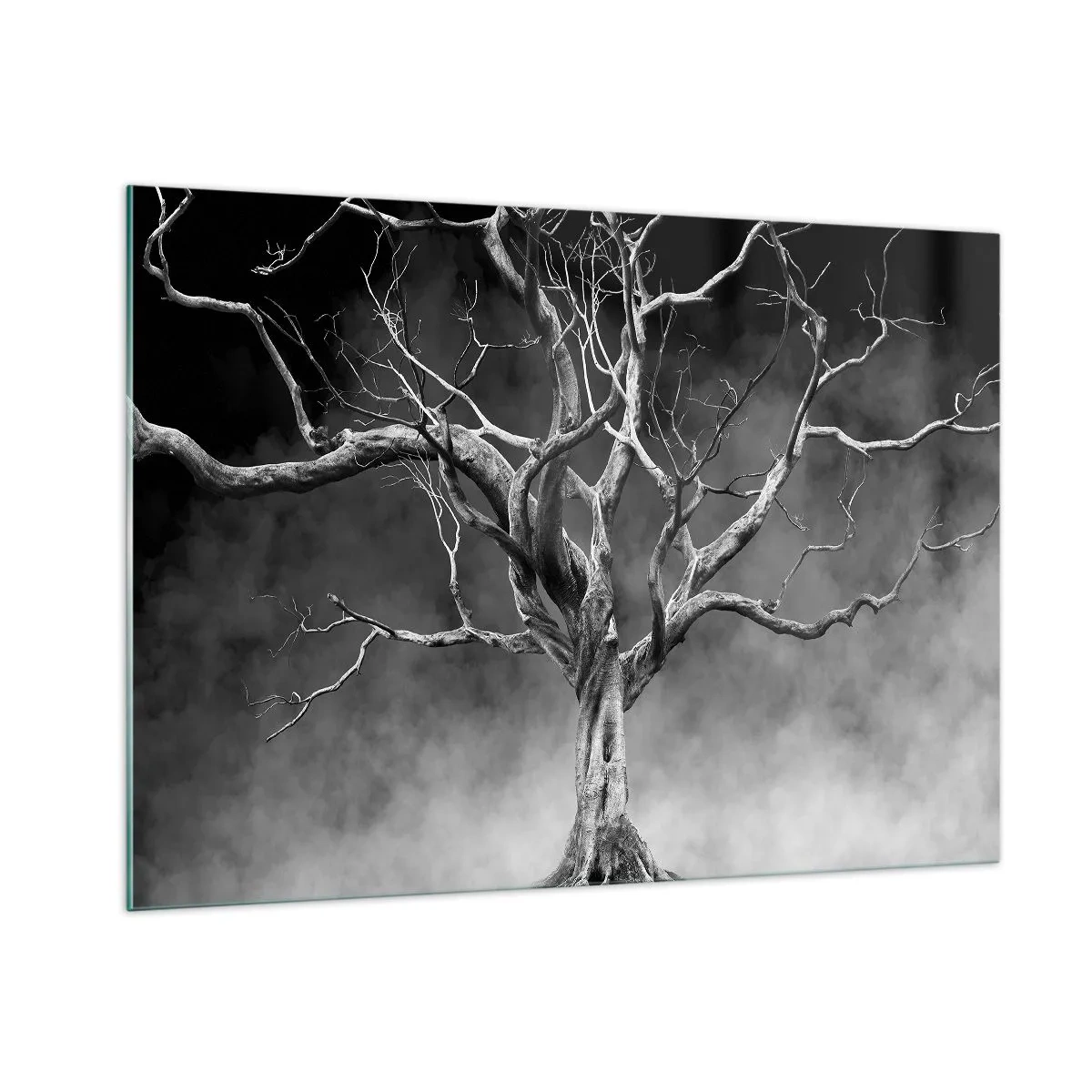 Glasbild - Bild auf glas - Schwarzer Baum gegen den Nebel - 100x70cm - Ursprünglich und heilig - Moderne Wanddekoration für Wohnzimmer und Schlafzimmer ARTTOR