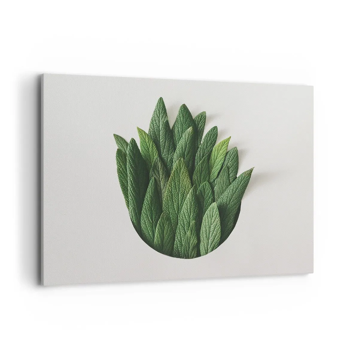 Bild auf Leinwand - Leinwandbild - Eine Komposition aus grünen Blättern auf hellem Hintergrund - 100x70cm - Ungebremste Neugier - Moderne Wanddekoration für Wohnzimmer und Schlafzimmer ARTTOR
